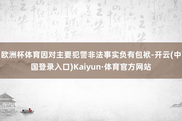 欧洲杯体育因对主要犯警非法事实负有包袱-开云(中国登录入口)Kaiyun·体育官方网站