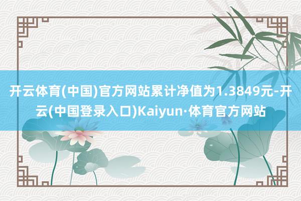 开云体育(中国)官方网站累计净值为1.3849元-开云(中国登录入口)Kaiyun·体育官方网站