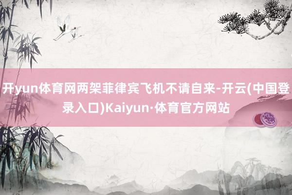 开yun体育网两架菲律宾飞机不请自来-开云(中国登录入口)Kaiyun·体育官方网站